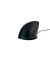 Evoluent C Maus 5Tasten mit Kabel rechtshändig Scrollrad