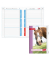 Display Hausaufgabenhefte Klasse 1 - 4, je 10 hefte pro Klasse 89510 für clevere Faule, Hausaufgaben / liniert, A5, weiß, 52 Bla