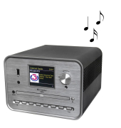 ICD1050SW Internetradio grau
