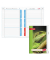 Display Hausaufgabenhefte Klasse 1 - 4, je 10 hefte pro Klasse 89508 für clevere Faule, Hausaufgaben / liniert, A5, grün, 52 Bla