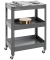 Servierwagen grau 50,0 x 32,0 x 75,0 cm