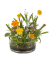Blumensamen Blumenwiese sortiert