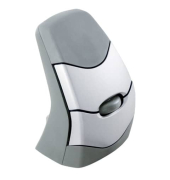 Maus Wireless DXT Precision
