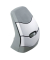 Maus Wireless DXT Precision