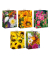 Geschenktragetasche Herbst sortiert