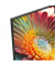 LED Google TV L32G7B  32  80cm 16:9  HD