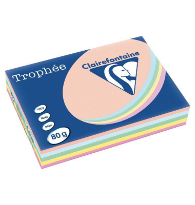 Farbpapier - Trophee - 1703C - A4 - 80 gm² - matt - sort. pastell - 500 Blatt Farbpapier - Trophee - 1703C - A4 - 80 gm² - matt - sort. pastell - 500 Blatt