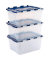 Aufbewahrungsbox 100135774, Kunststoff transparent/blau