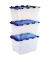 Aufbewahrungsbox 100135775, Kunststoff transparent/blau