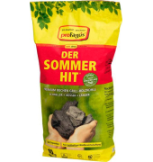 Holzkohle DER SOMMERHIT