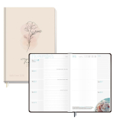 Häfft Verlag Schülerkalender 20252026 beige