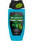 Men 3in1 Sport Duschgel 250 ml