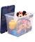 Aufbewahrungsbox 100135773, Kunststoff transparent/blau