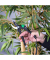 Gartenschere Bypass M63101