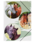 Eckspannmappe 21723-15, A4 Pferde Polypropylen (PP)