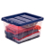 Aufbewahrungsbox 100135771, Kunststoff transparent/blau