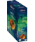 Tee Mint Kiss 4061508, Bio Krauseminze mit Pfefferminze, Papierbeutel
