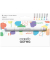 acrea Light Layoutmarker-Set farbsortiert 0,8 mm