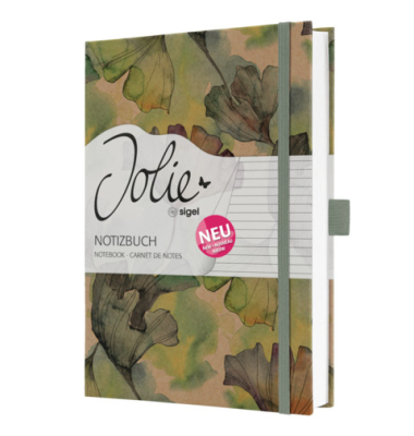 Notizbuch ca.A5 liniert Ginko