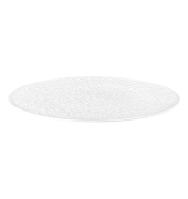 6 Seltmann Weiden Teller Nori weiß 30,5 cm