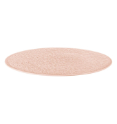 6 Seltmann Weiden Teller Nori rosé 30,5 cm