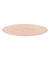 6 Seltmann Weiden Teller Nori rosé 30,5 cm