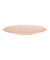 6 Seltmann Weiden Teller Nori rosé 26,4 cm