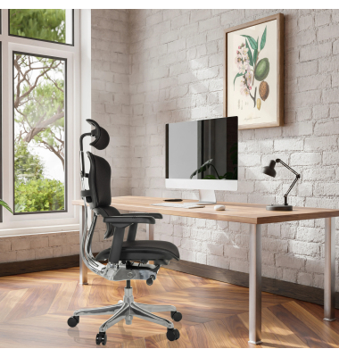 Bürostuhl ERGOHUMAN GEN2 Stoff sw