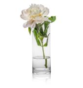 Vase Ambiente transparent