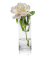 Vase Ambiente transparent