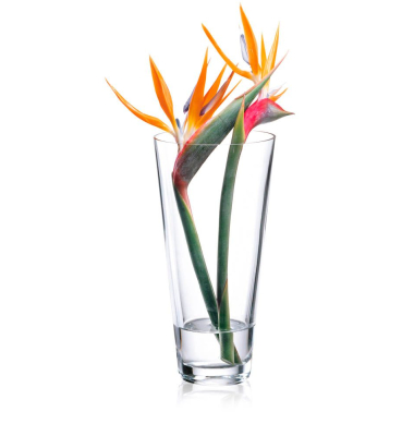 Vase Ambiente transparent
