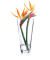 Vase Ambiente transparent