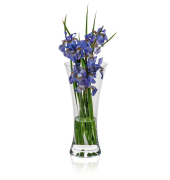 Vase Ambiente transparent