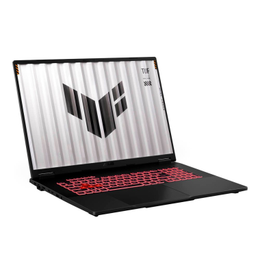 TUF Gaming FA808UP-S8022W Notebook 45,7 cm (18,0 Zoll), 32 GB RAM, 1 TB SSD, AMD Ryzen 7