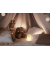 Hamster Lilli LED Nachtlicht weiß 9,23 cm, 0,2 W