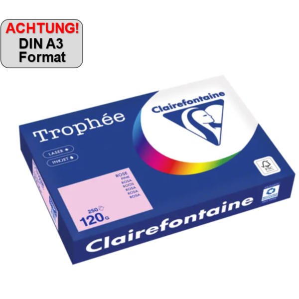 3329680005332 - Kopierpapier A3 120g rosa 250Bl 3329680005332 250 Blatt 3329680005332 - Kopierpapier A3 120g rosa 250Bl 3329680005332 250 Blatt