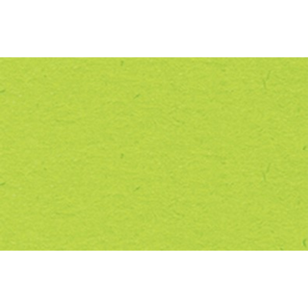 4008525709831 - Tonpapier 2232251 130g 50 x 70cm hellgrün 4008525709831 10 Blatt