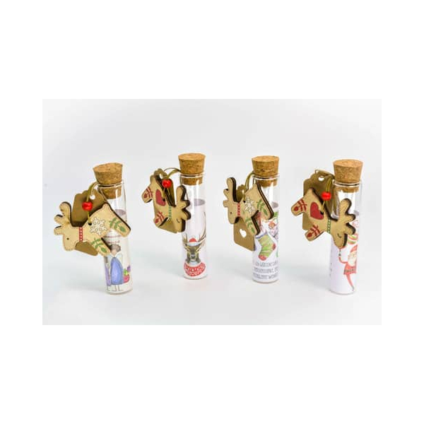 20 Stück Alpedia Geldgeschenkglas Rentier sortiert 4035296097119 Head