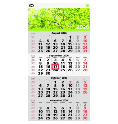 Wandkalender 5103-26, oeco, 33x58,8cm (BxH), 2026