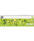 Querkalender 5101-26, oeco, 1 Woche / 1 Seite, 29,6x9,9cm (BxH) (Querformat), 2026
