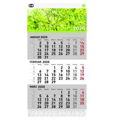 Wandkalender 5102-26, oeco, 29,7x48,8cm (BxH), 2026