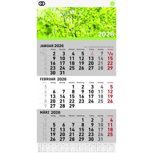 4003630034243 - Wandkalender 5102-26 oeco 297x488cm (BxH) 2026 4003630034243 Soennecken 4003630034243 - Wandkalender 5102-26 oeco 297x488cm (BxH) 2026 4003630034243 Soennecken