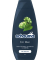 For Men Shampoo 400 ml