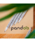 Bleistift, PONPBS12