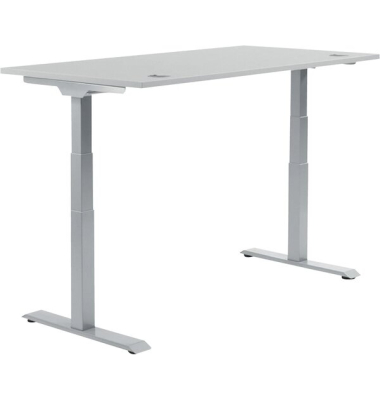Schreibtisch FLEX MODUL, elektrisch h&ouml;henverstellbar, 60,5-125,5cm (H), 200x80cm (BxT), rechteckig, lichtgrau / silber