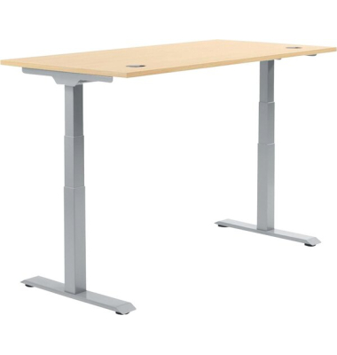 Schreibtisch Flex Modul