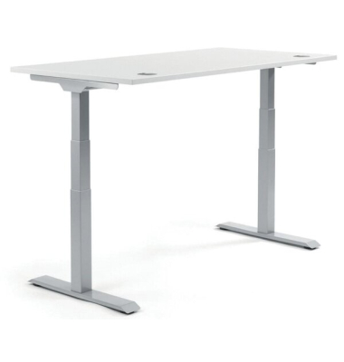 Schreibtisch FLEX MODUL, elektrisch h&ouml;henverstellbar, 60,5-125,5cm (H), 200x80cm (BxT), rechteckig, wei&szlig; / silber