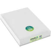 Kopierpapier Evercolor 30004 hellgrün A3 80g