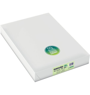 Kopierpapier Evercolor 30004 hellgrün A3 80g
