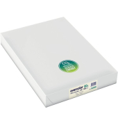 Recyclingpapier Evercolor 30259C chamois A3 80g